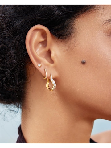 ANIA HAIE Ohrringe in Gold: Vorderseite