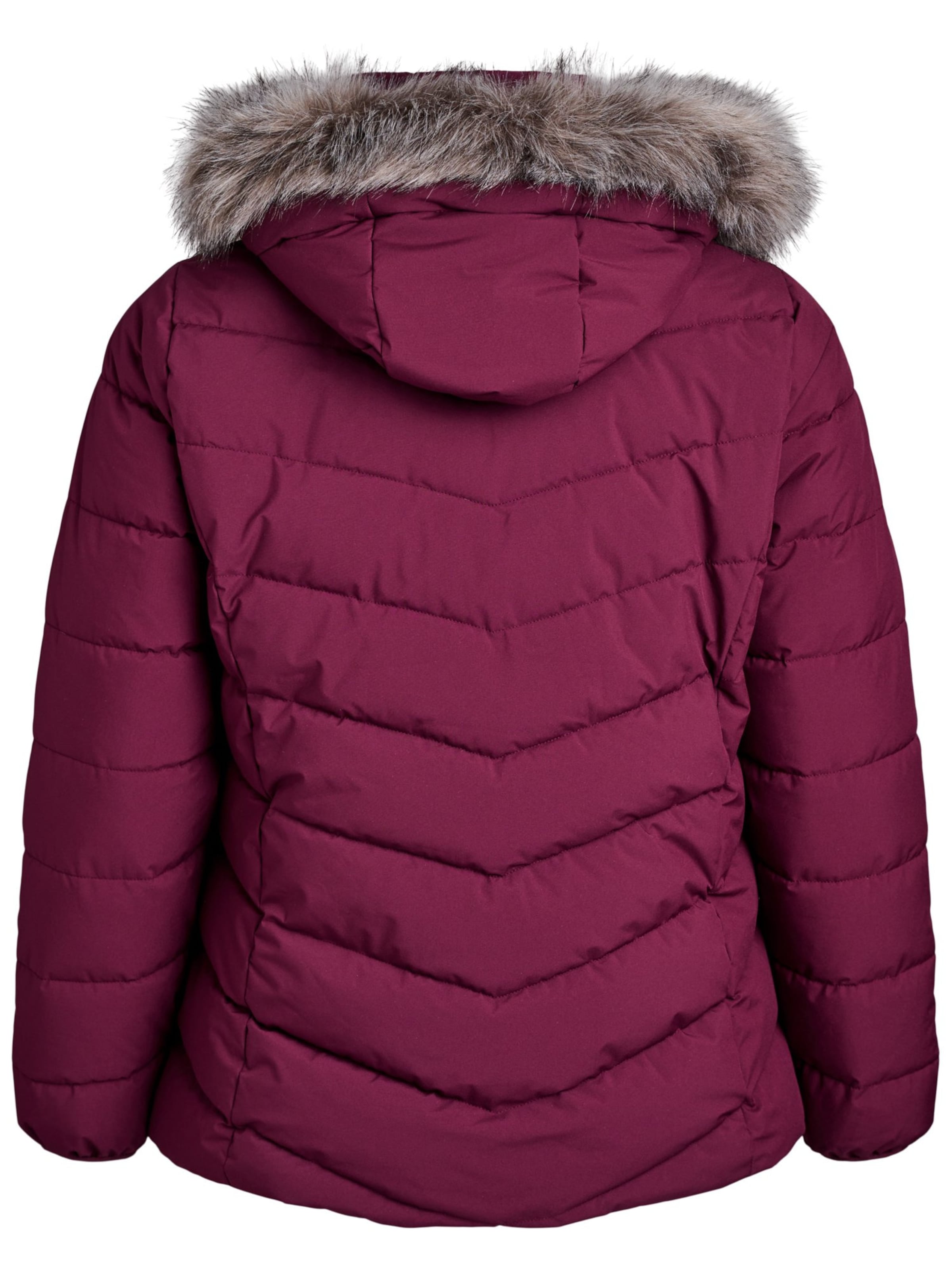 Zizzi Zimska jakna 'Cajulia' | rdeča barva