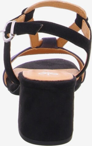 Franz Ferdinand Strap Sandals in Black