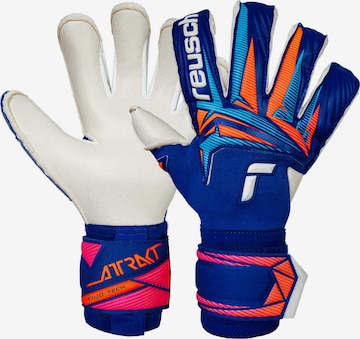 REUSCH Torwarthandschuhe 'Attrakt Duo Evolution' in Blau: Vorderseite