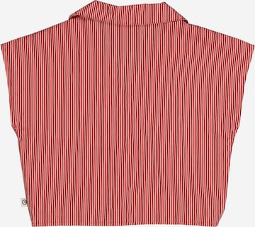 Müsli by GREEN COTTON Blouse in Red