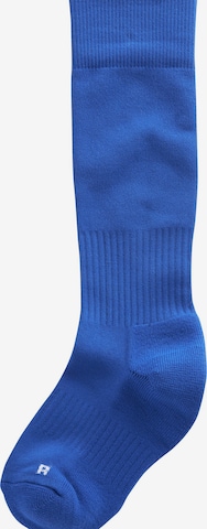 Calzino sportivo di Next in blu: frontale
