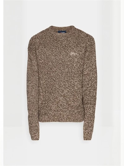 Denim Project Sweater ' DPMDPKNITTED OVERSIZED LOGO ' in L in Dark brown, Item view