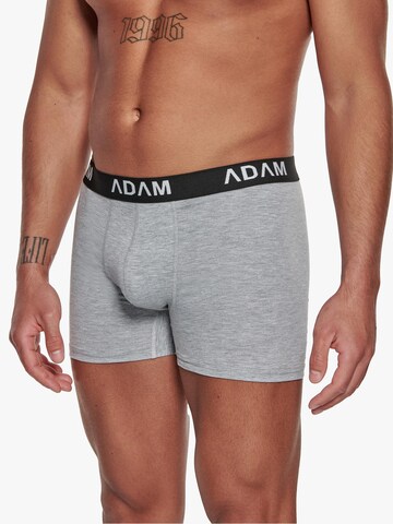 Adam Boxershorts '6er Pack'‌‌‌‌‌ in Grau