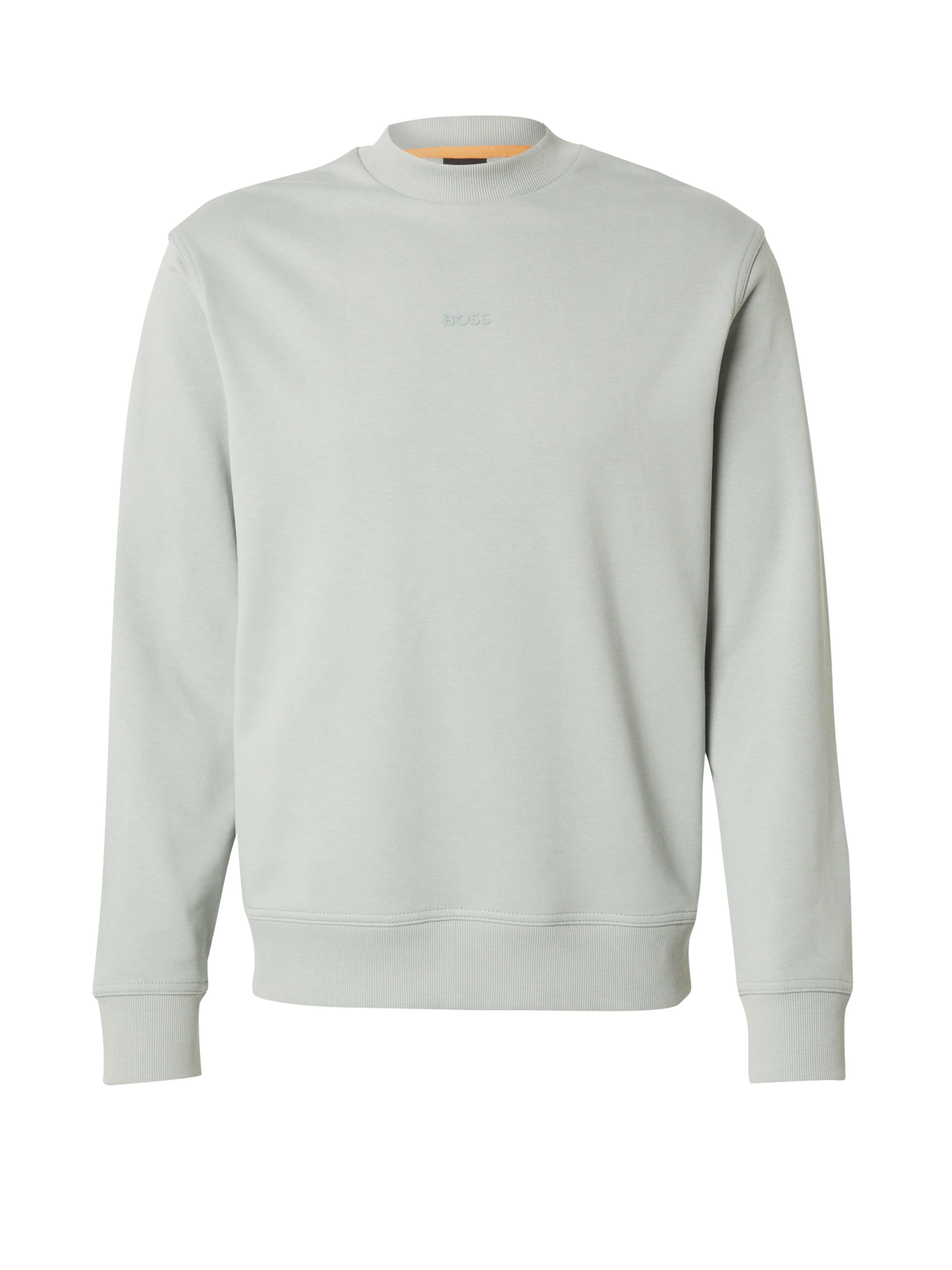 BOSS Свитшот в Пастельно-зеленый, Обзор товара
