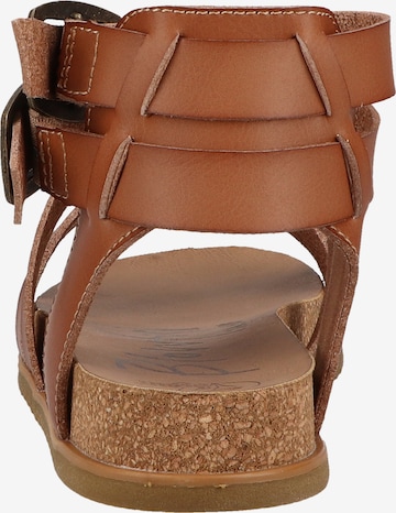 Blowfish Malibu Sandals in Brown