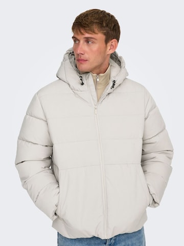 Only & Sons Winter jacket '22030170' in Beige