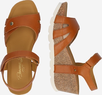 PANAMA JACK Sandal 'Romy B1' i brun