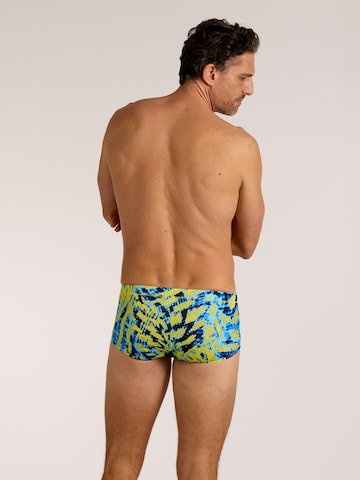 wavebreaker Swim Trunks in Green