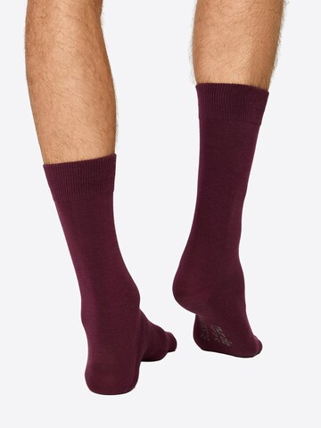 Nur Die Basicsocken ' Baumwolle Business Pack ' in Blau