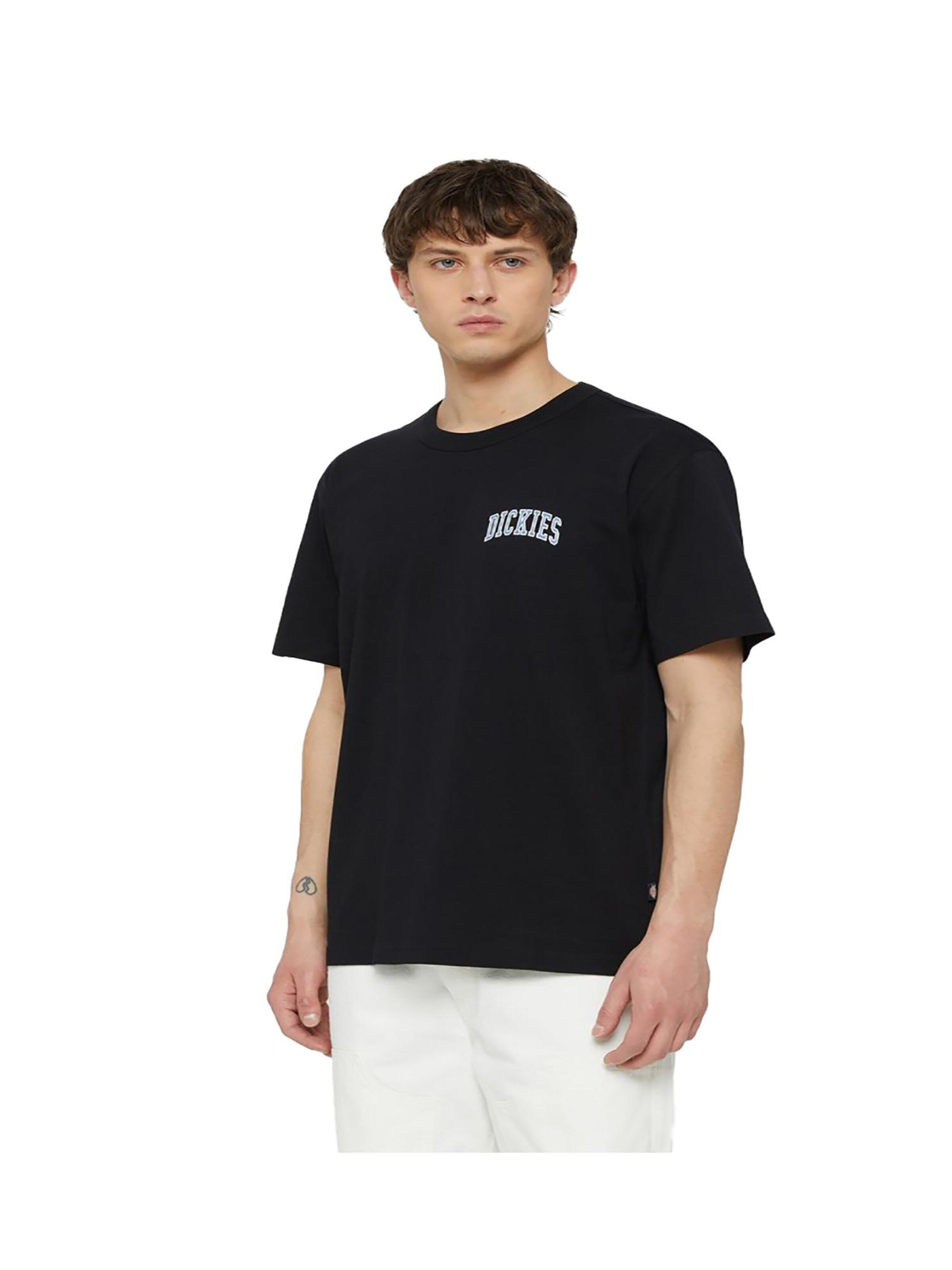 DICKIES Shirt 'Aitkin' in Black: front