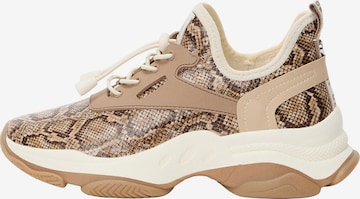 Sneaker low 'MATCH' de la STEVE MADDEN pe maro: față