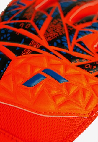 REUSCH Torwarthandschuh 'Attrakt Starter Solid' in Orange