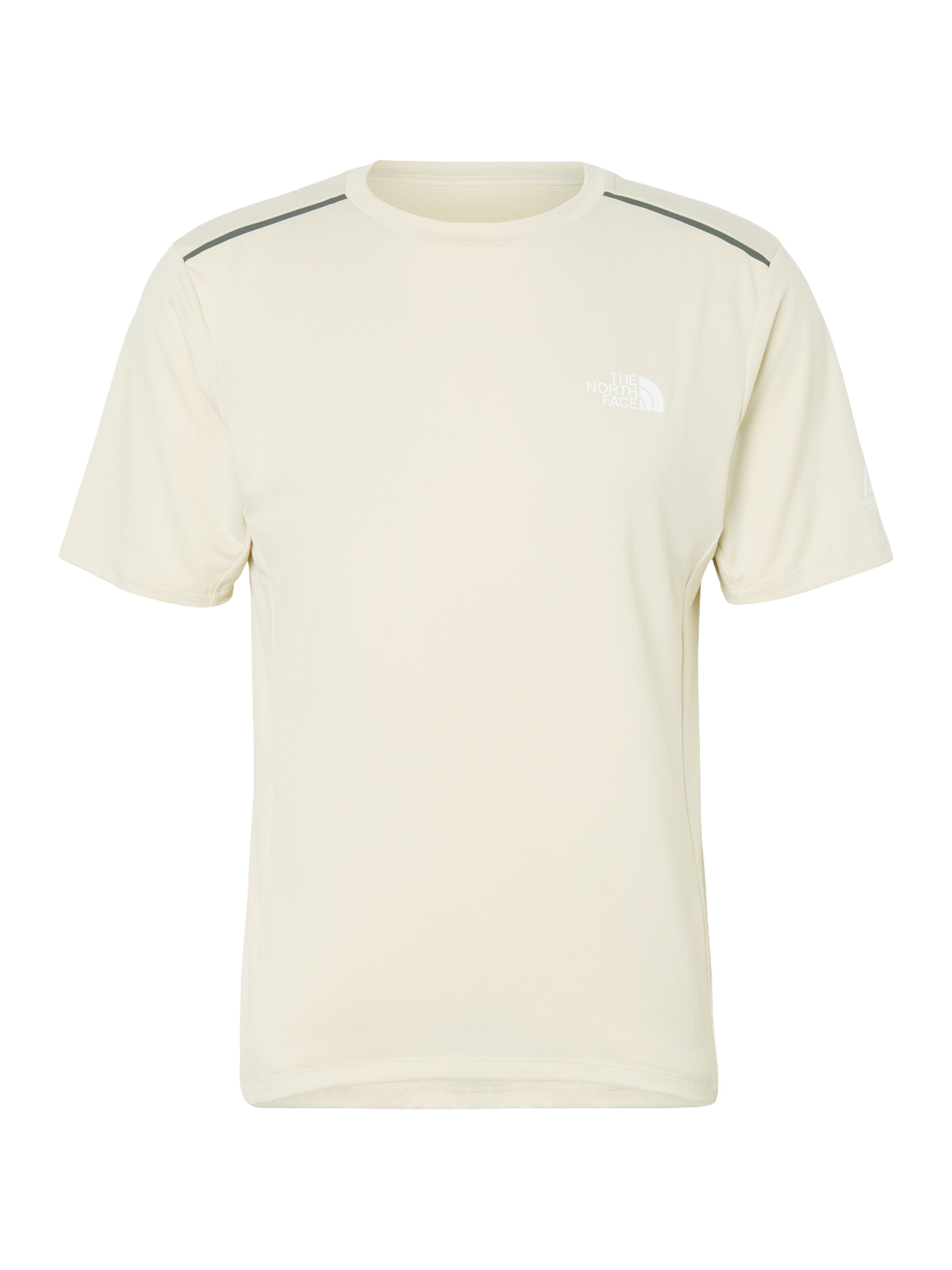 T-Shirt fonctionnel 'MOUNTAIN ATHLETICS' THE NORTH FACE en gris : devant