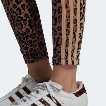 ADIDAS ORIGINALS Skinny Leggings in Brown