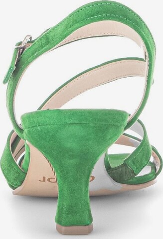 GABOR Strap Sandals in Green