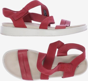 ECCO Sandals & High-Heeled Sandals in 41 in Red: front