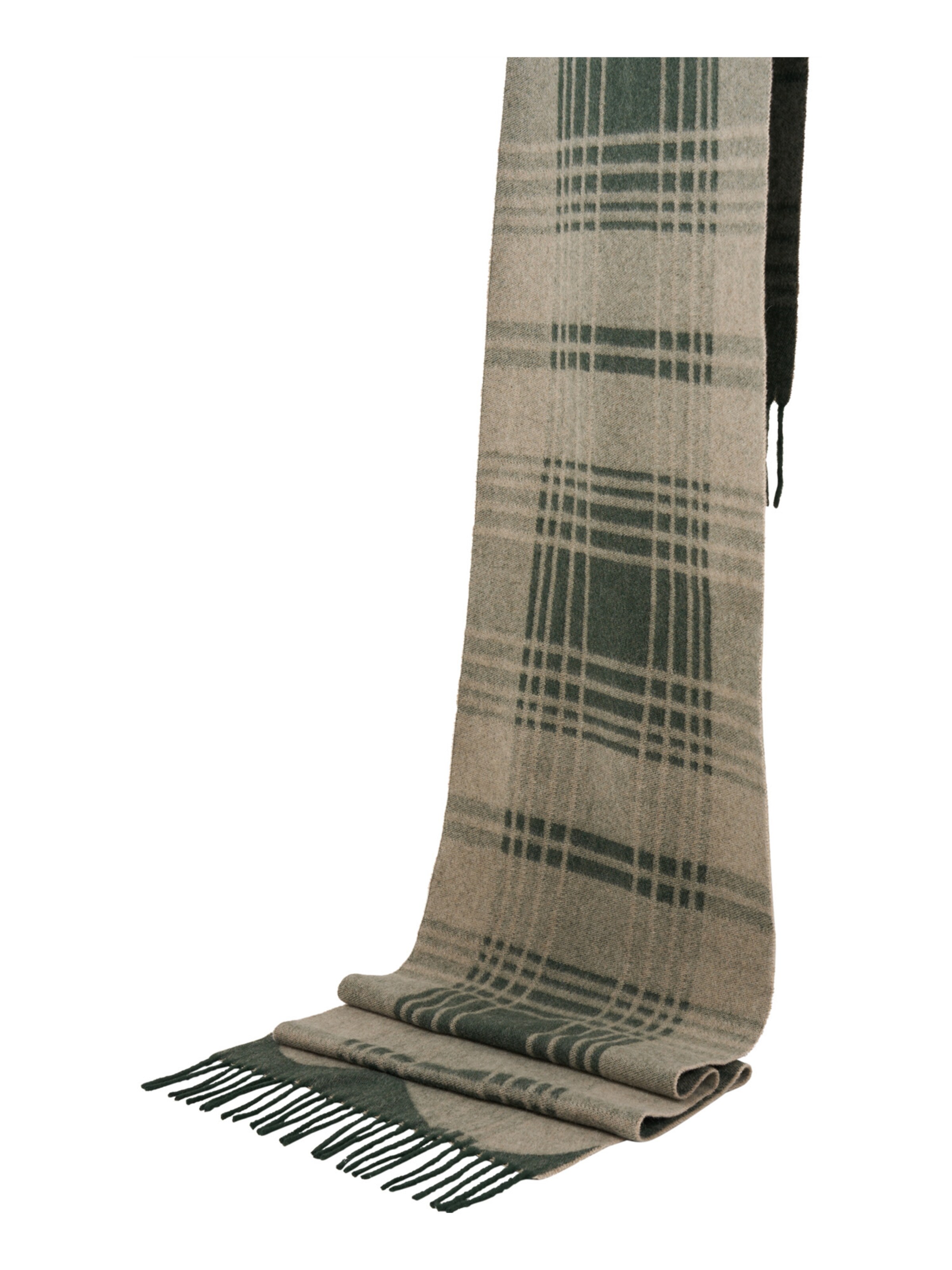 BOGNER Scarf in Green