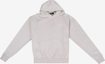 Dropsize Sweatshirt 'Embo' in Grey: front