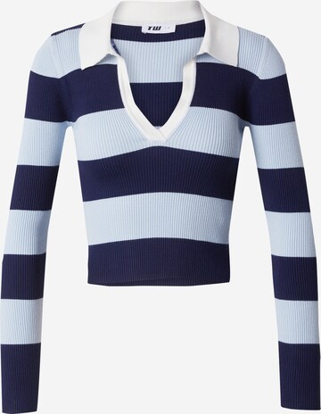 Tally Weijl Pullover i Blandingsfarvet ABOUT YOU - Main Image