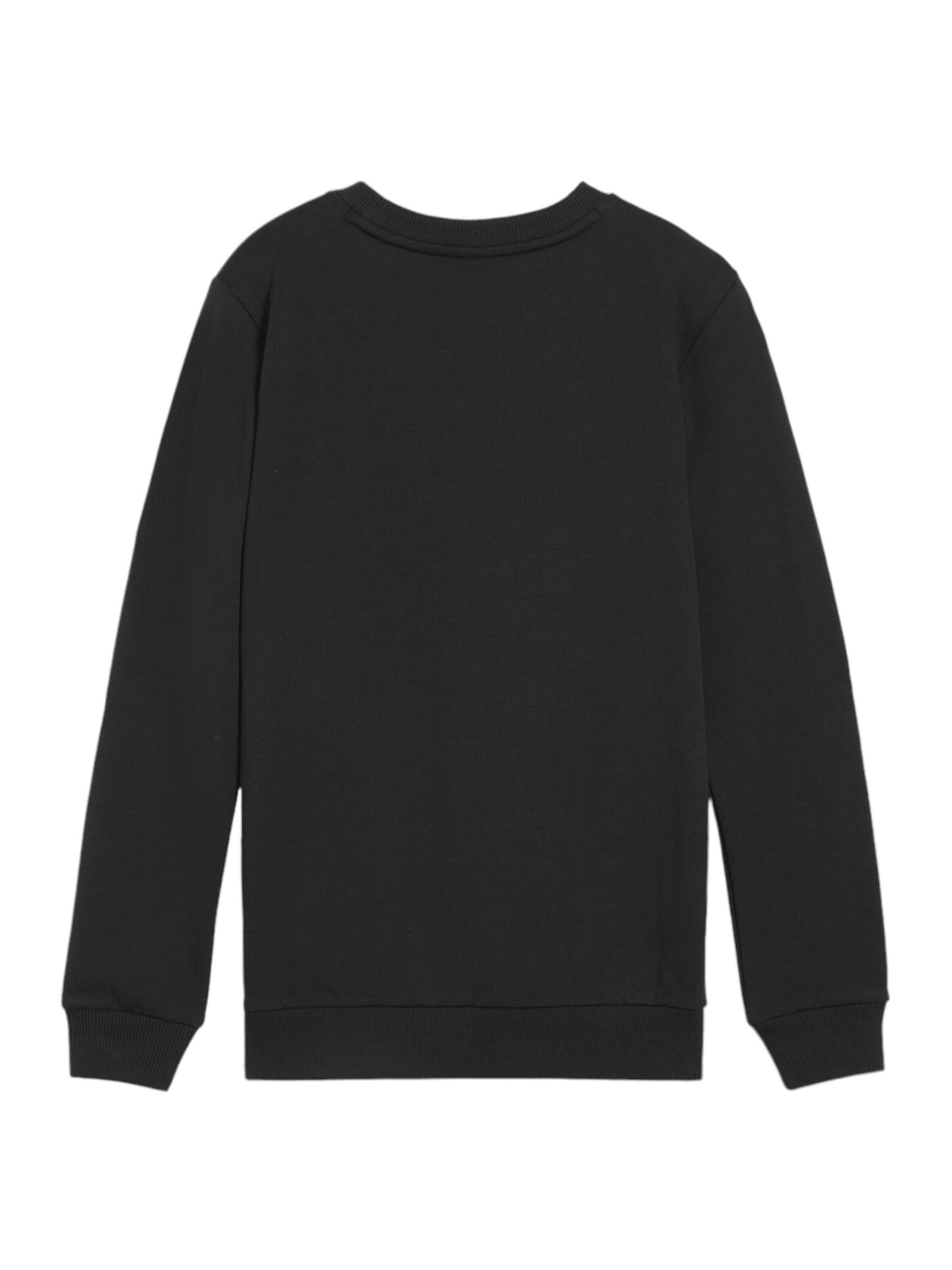 PUMA Sportsweatshirt 'GOAL' in Schwarz