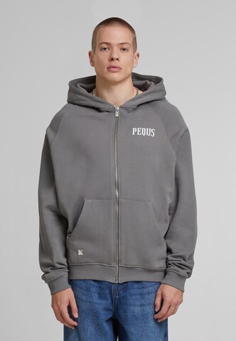 Pequs Zip-Up Hoodie in Grey: front