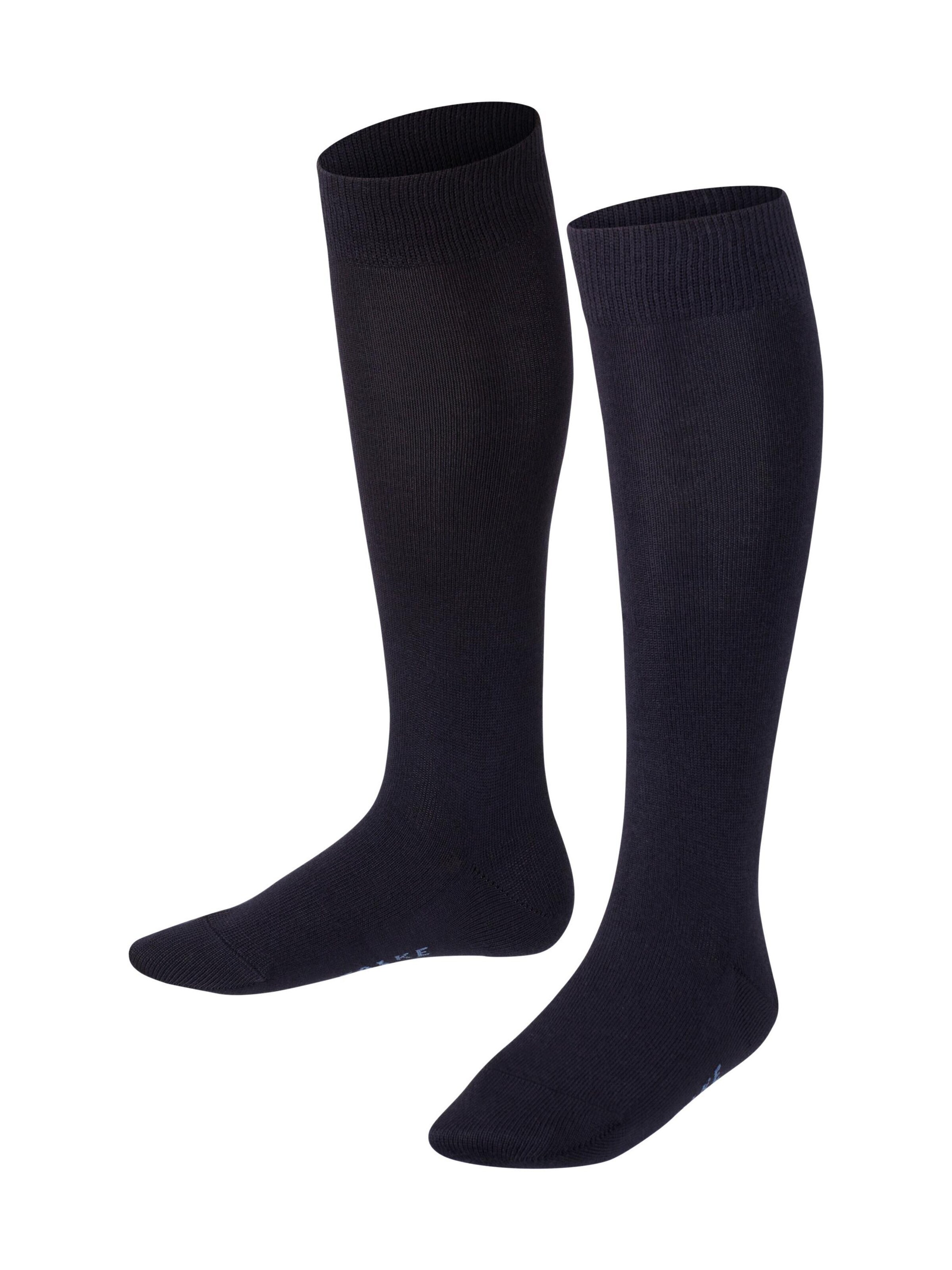 FALKE Socks 'Family' in Blue