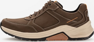 Pius Gabor Sneakers in Brown