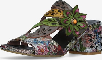 Laura Vita Mules in Mixed colors: front