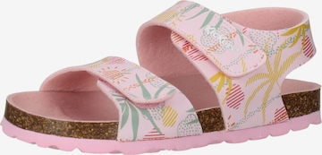 Kickers Sandalen in Roze: voorkant