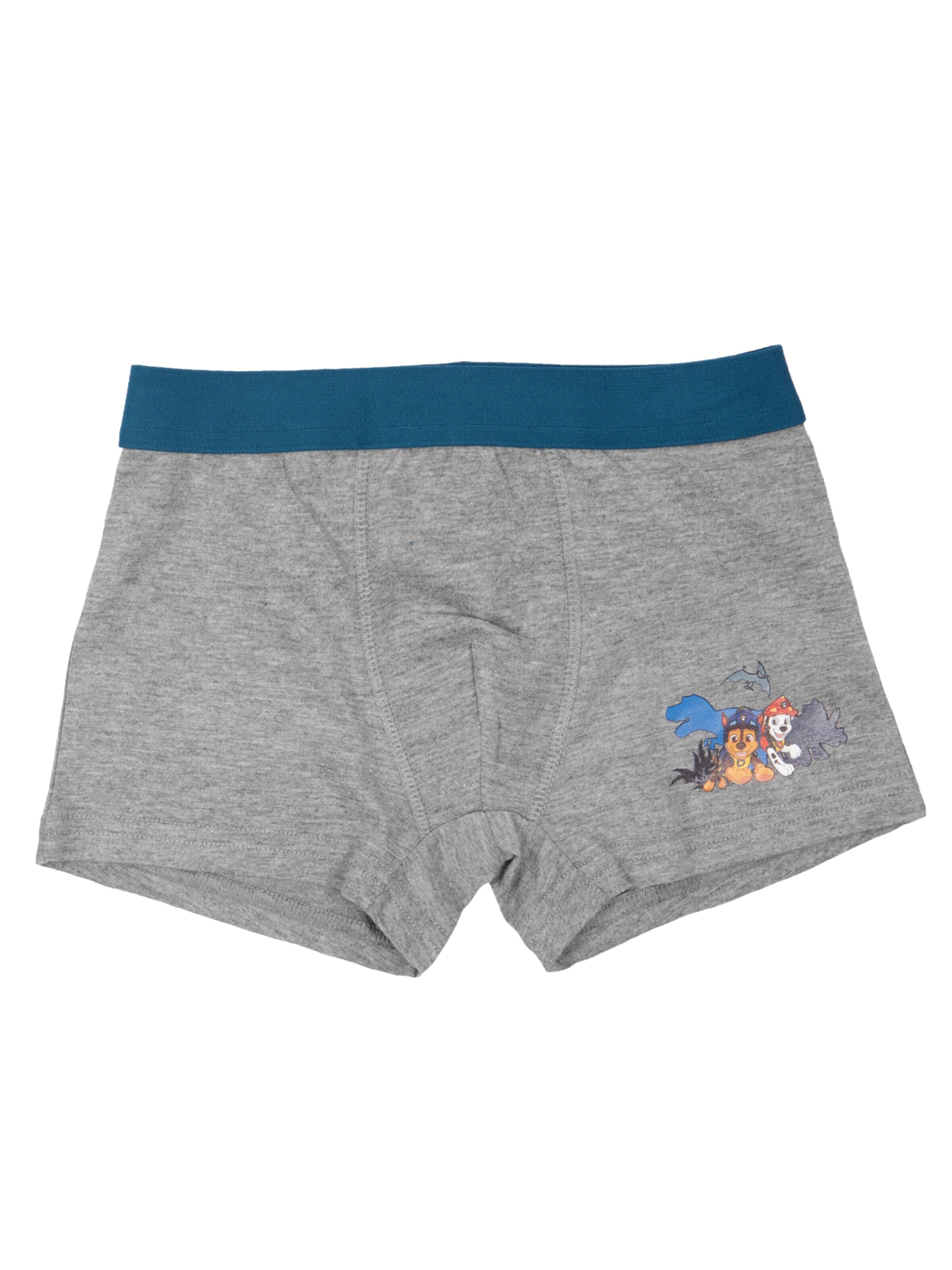 Paw Patrol Underpants in Mixed colours