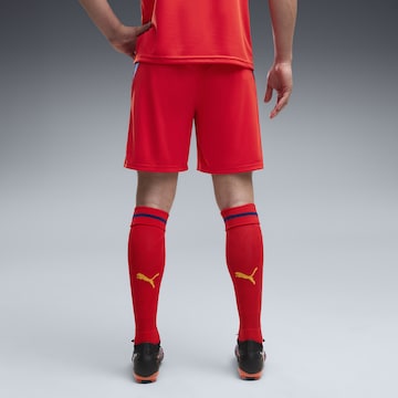 PUMA Regular Workout Pants 'RB Leipzig 26/27' in Red
