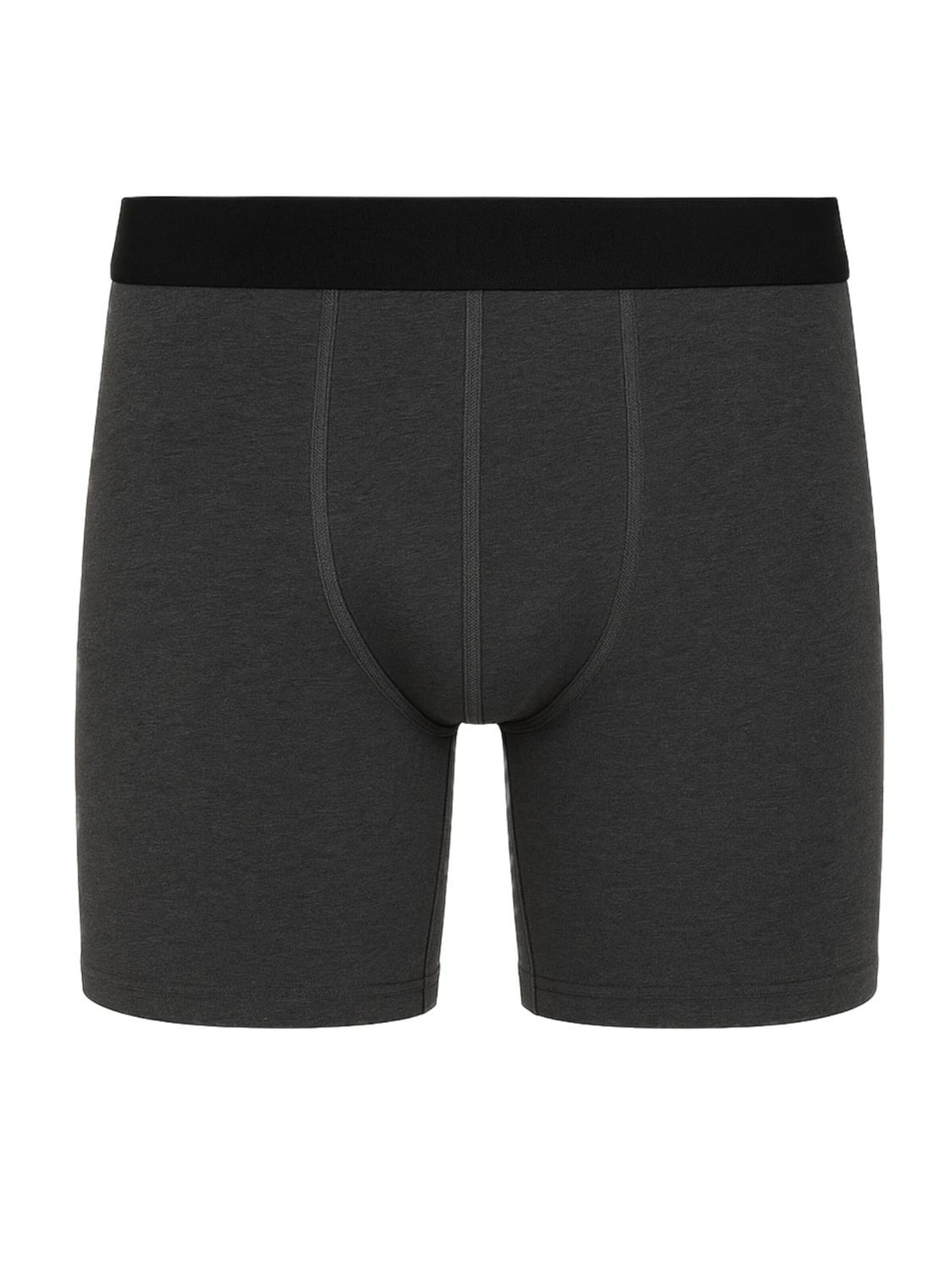 Erdem Board shorts in Grey: front