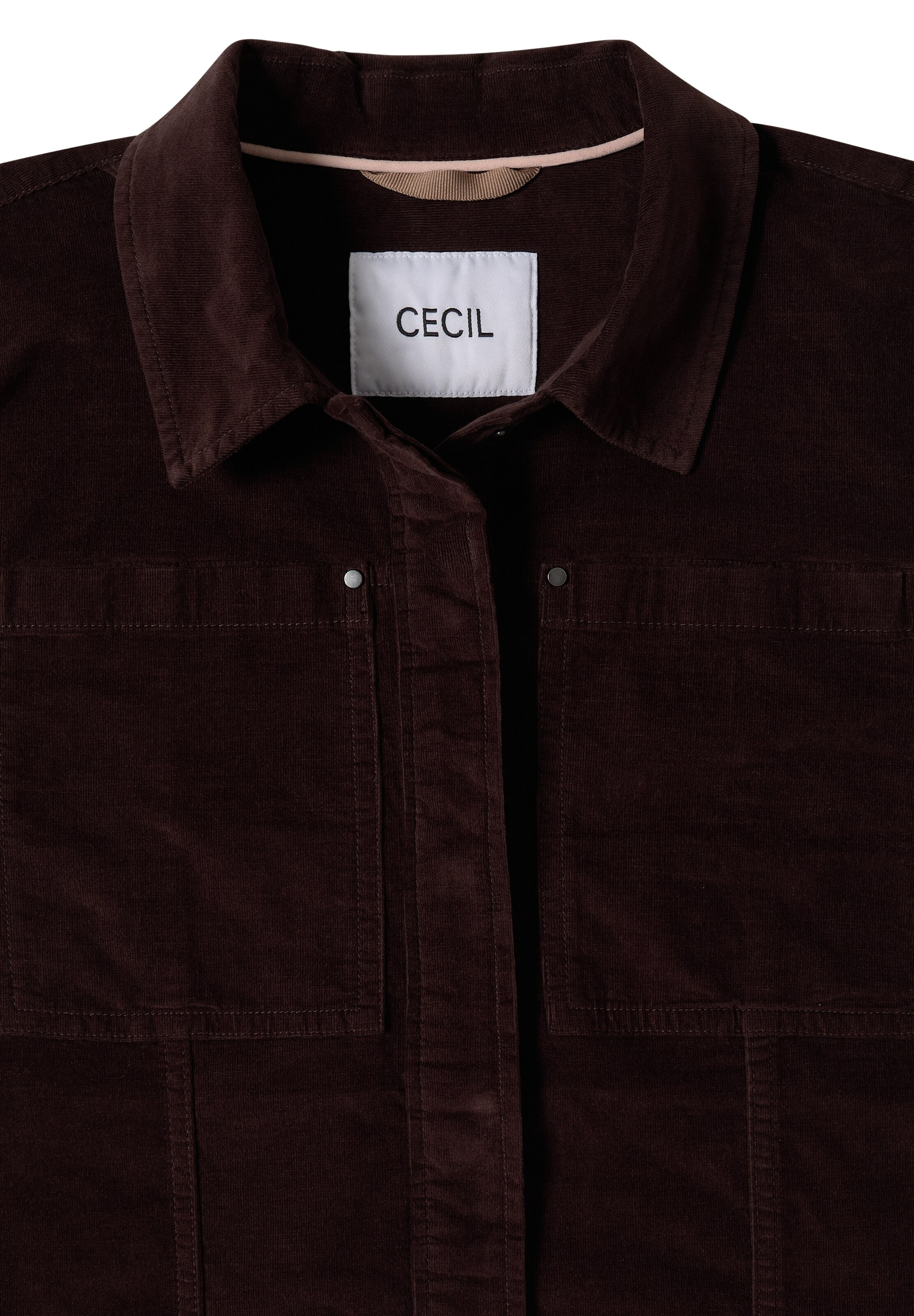 CECIL - Chaqueta de entretiempo en marrón