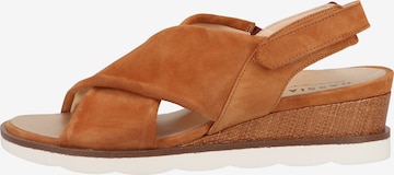 HASSIA Sandals in Brown