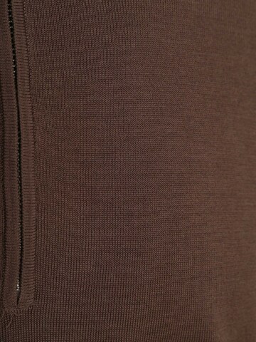 Profuomo Shirt in Brown