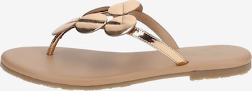 Dockers by Gerli T-Bar Sandals in Gold