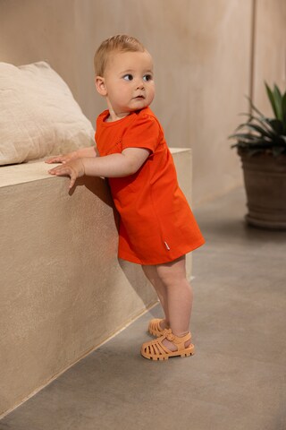Noppies Dress 'Mariposa' in Orange