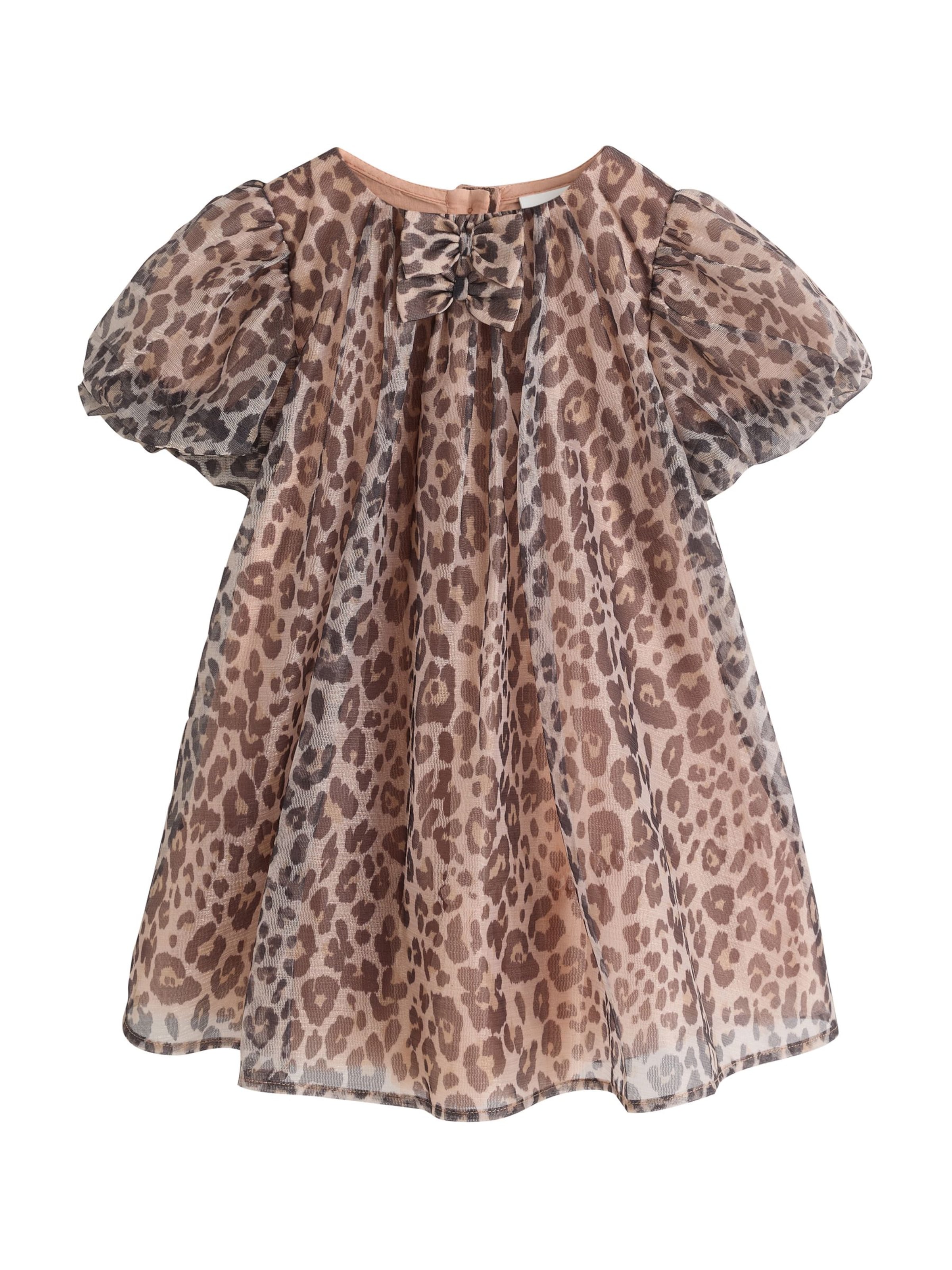 Next Dress in Brown: front