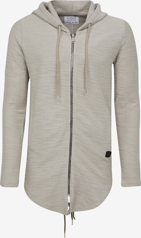 Leif Nelson Zip-Up Hoodie in Grey: front