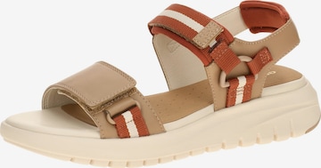 GEOX Sandale 'Geox Flextride Sandalen braun rot D65BSC' in Braun: Vorderseite