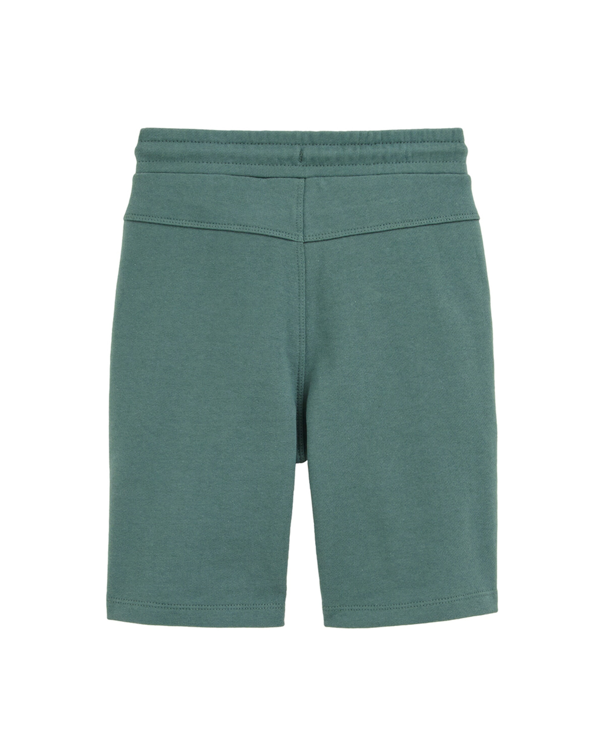 WE Fashion Regular Панталон в зелено