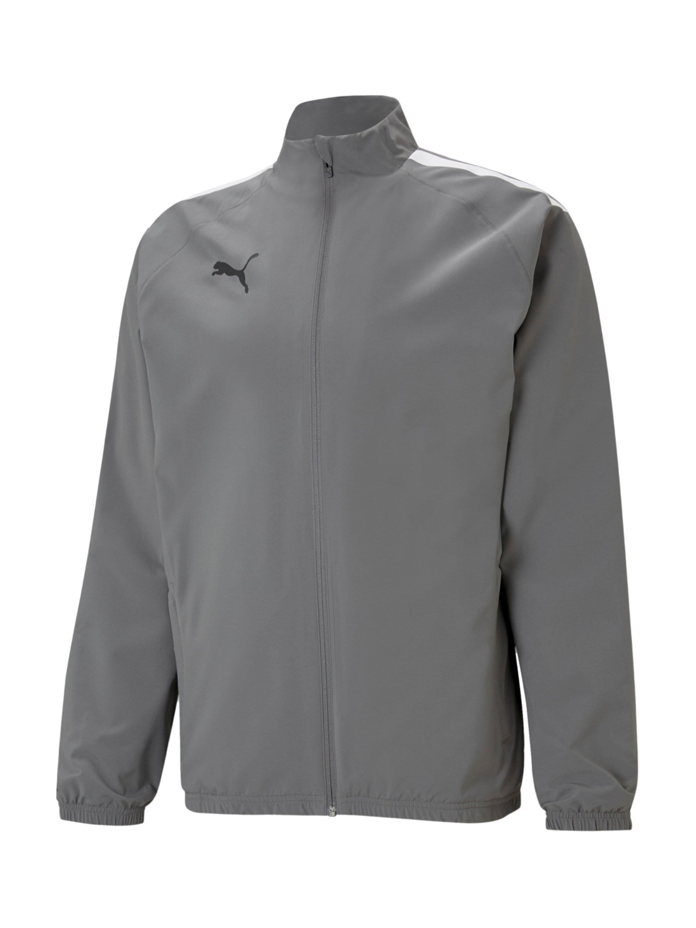 PUMA Sportjacke 'Team Liga' in Grau: Vorderseite