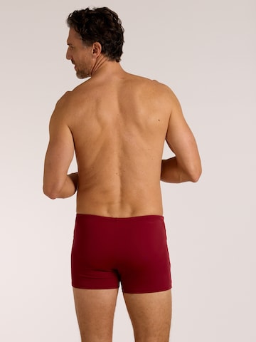 wavebreaker Swim Trunks in Red