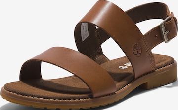 TIMBERLAND Sandals 'Chicago Riverside' in Brown: front