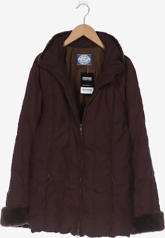 Blugirl by Blumarine Jacket & Coat in L in Brown: front