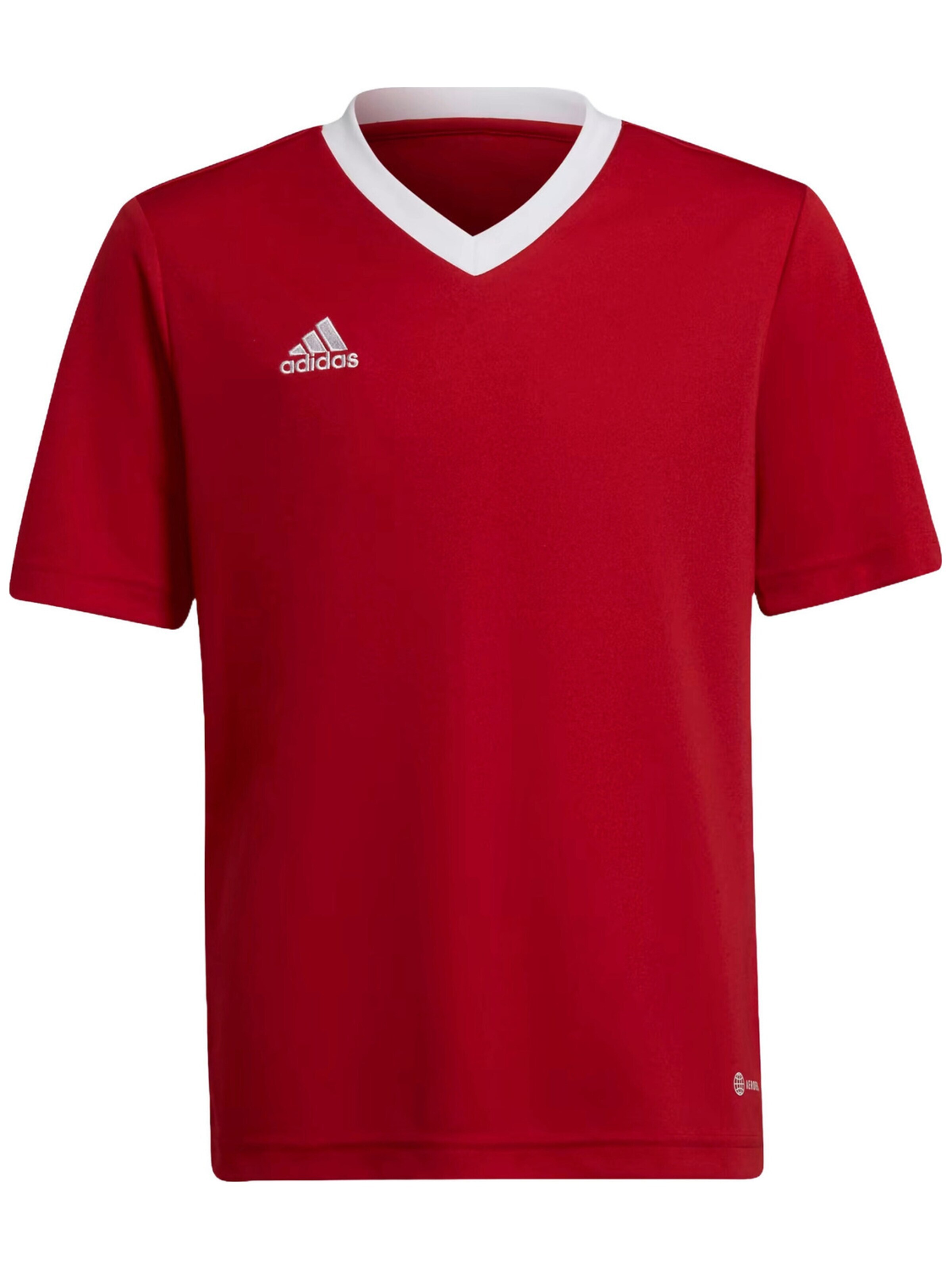 ADIDAS - Camiseta 'adidas Jr Ent22 Jersey' en rojo: frente