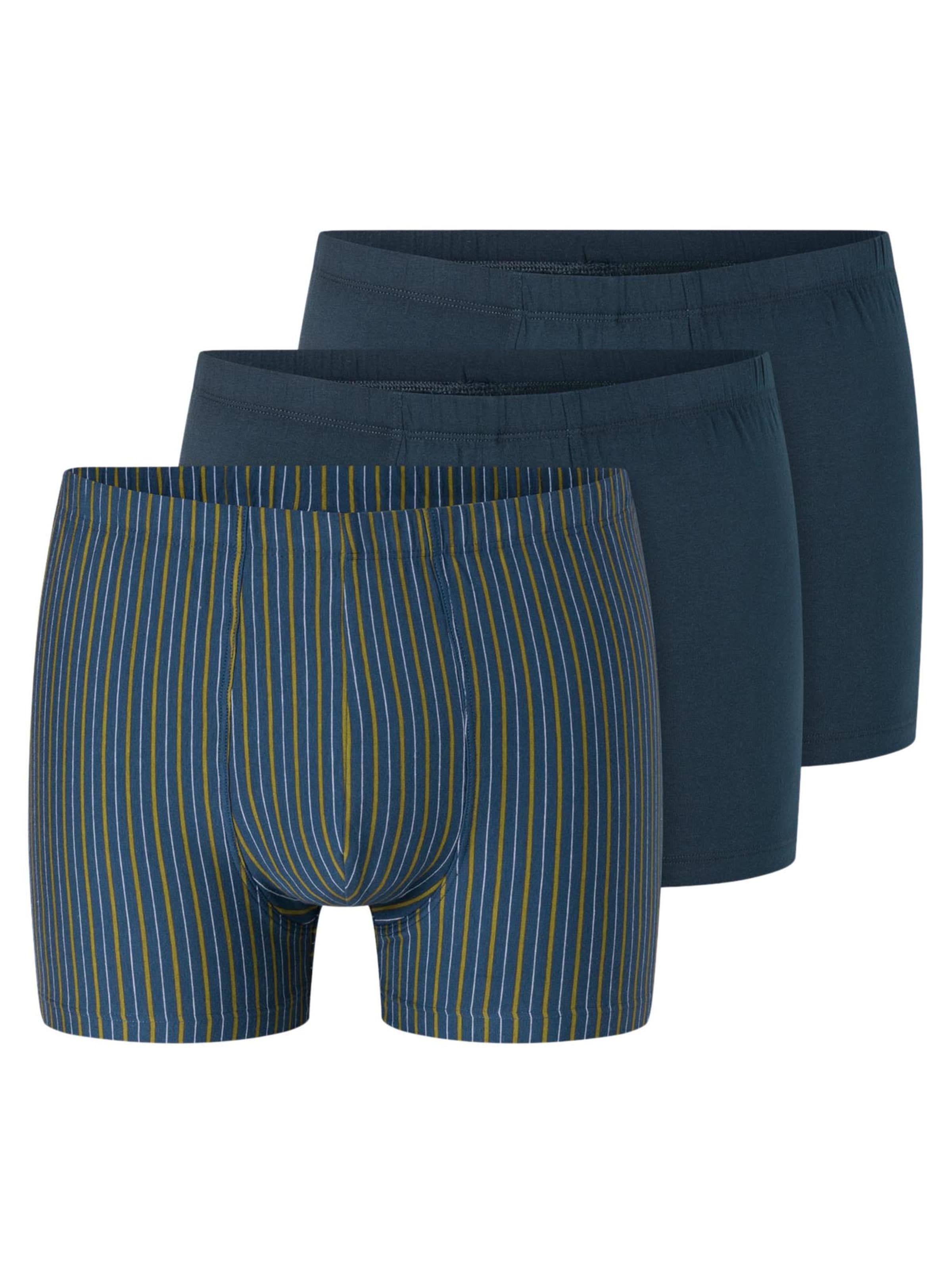 SCHIESSER Boxer shorts '95/5 Essentials - Cotton' in Blue: front