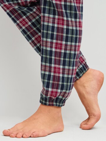 CALIDA Pyjama 'Holiday Dreams'‌‌‌‌‌‌‌‌ in Blau