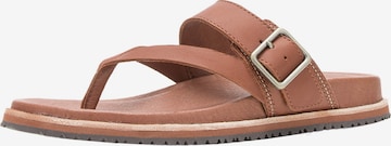 Kamik T-Bar Sandals 'Sadie' in Brown: front